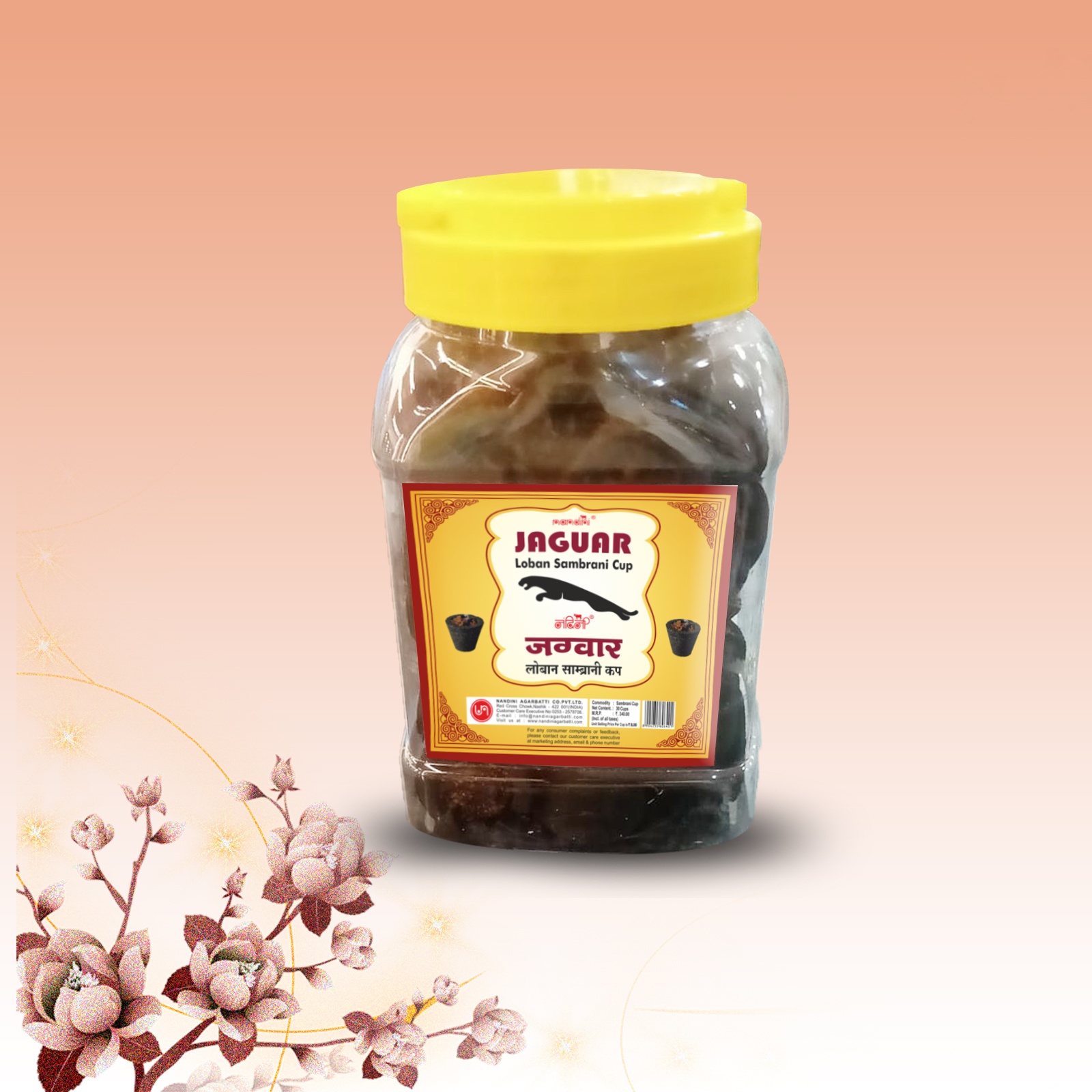 Jaguar Cup Dhoop